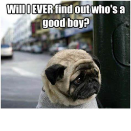 obby