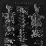 *:･ﾟ✧*:･ﾟ✧ 