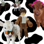 The Cow Cute