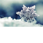 % Snowflake %