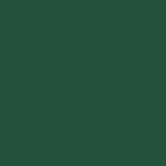 G.B.A. Security Forces