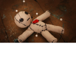 The Ragdoll Family