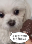 노숙자a패밀리