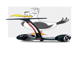 segway seagull - LEGACY