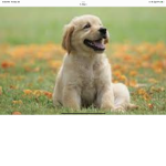 Dogs Rule Forever!