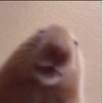 Bobux for leija
