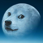 The Lunar Vortex