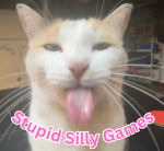 Stupid Silly Games