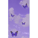 Butterfly group f