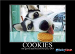 the funny cookie