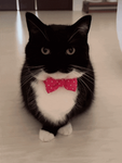 Bagel's Clothingg