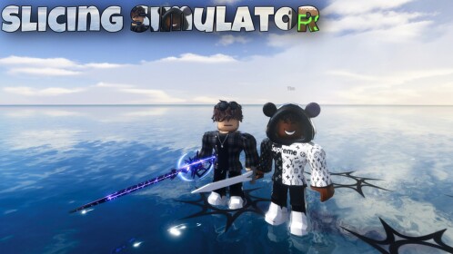 Slicing Simulator