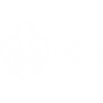 OttoAuto Racing League