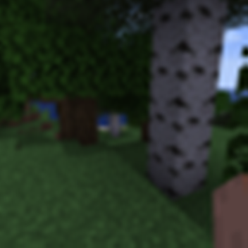 litrally minecraft look in the desc