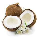 Coconut clothing HERE
