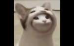 FREEROBUXNIGE