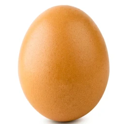 Egg icon