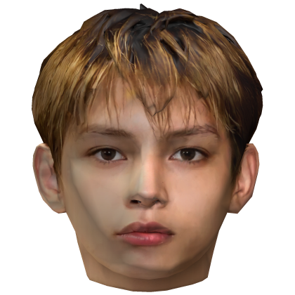 James CORTIS KPOP head Roblox item
