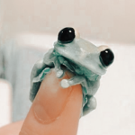 ~frog vibez~