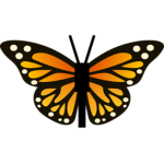 Chasing Wings