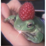 Froggzy