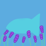 blue_tail's shop!