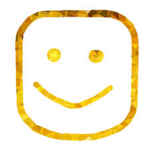 Roblox Scripter