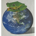 Fr0ggë fans