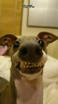 Bippity Boop!