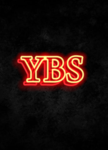 YBS (YOUNG BLOCK SHOOTAS)