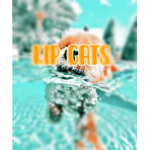 Kip cats!