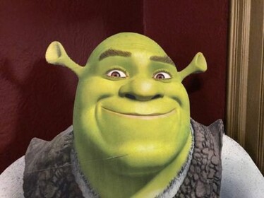 shrek baseplate