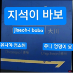 재광똥