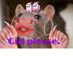 The Aesthetic Rat Squad