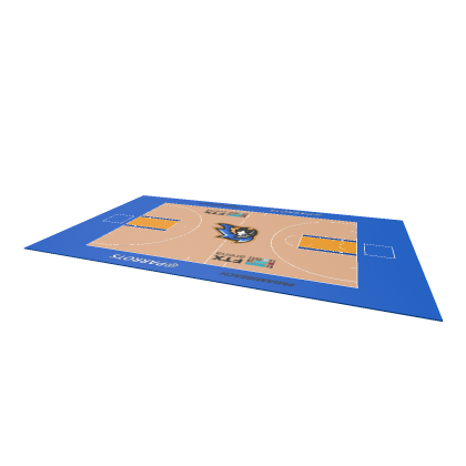 Miami Parrots Basketball Court