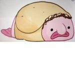 The blobfish Tribe / group