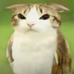 Im not cute anymore