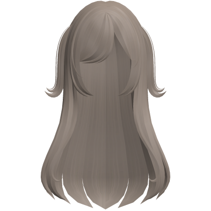 Cute Straight Double Up Ponytail Hair in Ash Roblox item