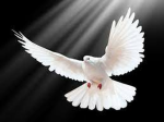 ~Elements Of Peace~