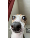 hxxilty