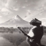 K74*