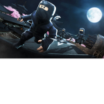 Ninja Warriors Fun Club