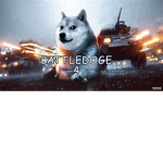 The Mighty Doge Kingdom