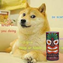The doge hangout (Hawaii theme)