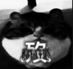 0Deaths