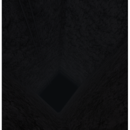 The Hidden