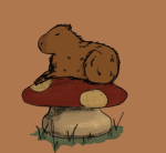 Capybaras and mushrooms