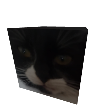 felix cat