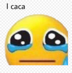 I caca Group