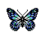 The Butterfly Legends